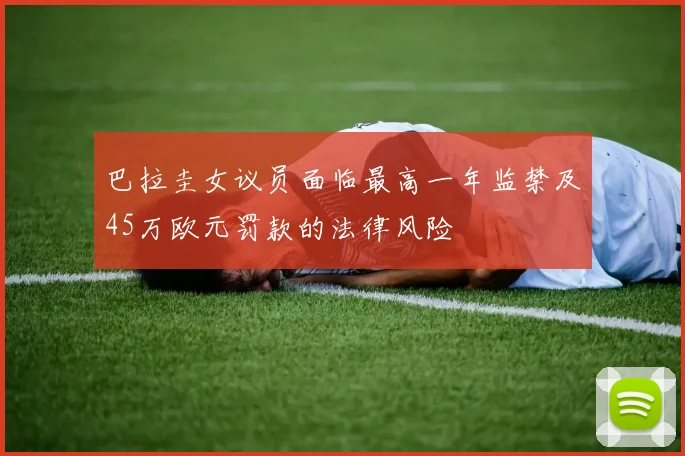 巴拉圭女议员面临最高一年监禁及45万欧元罚款的法律风险