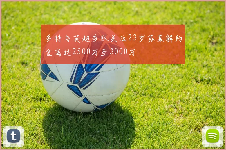 多特与英超多队关注23岁苏莱解约金高达2500万至3000万